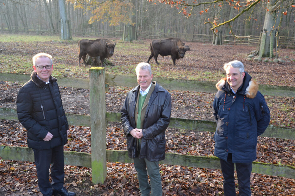 Fütterung der Wisente im Winter gesichert
